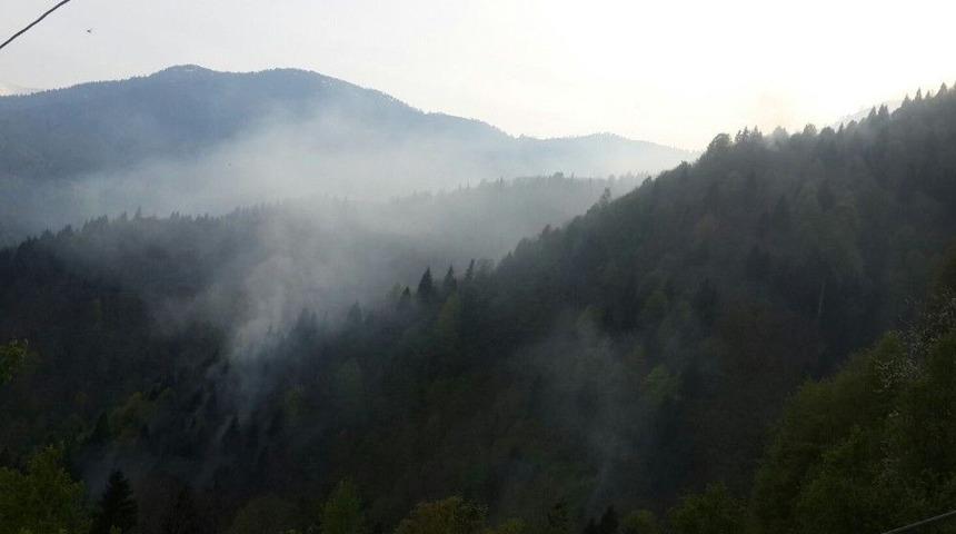 Rize &Ccedil;ayeli&rsquo;deki &Ouml;rt&uuml; Yangını Kontrol Altına Alındı