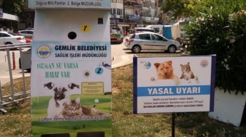 Sokak Hayvanları İçin Uyarı Levhası