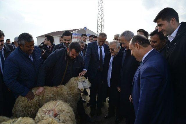 Gıda, Tarım Ve Hayvancılık Müsteşarı Tunç: “tarıma Elverişli Alanlar Etkin Kullanılacak”