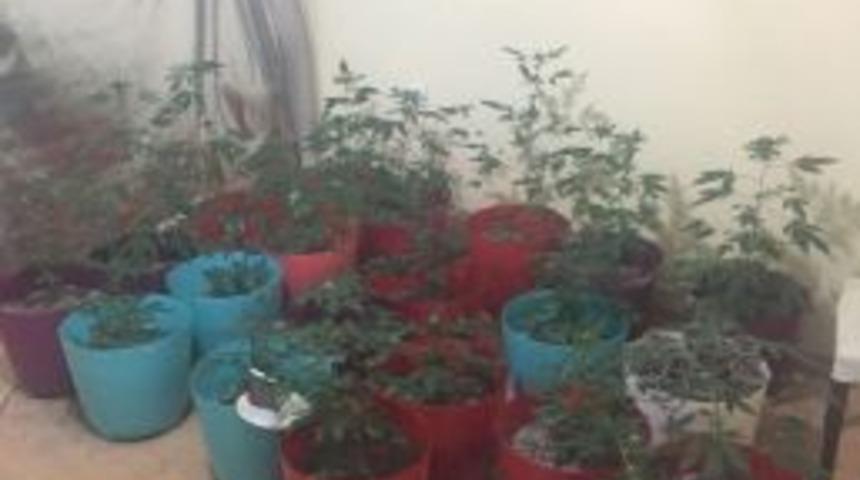 Kuşadası&rsquo;nda Uyuşturucu Operasyonu