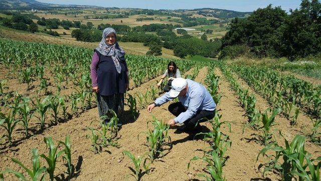 Çiftçilere Destekler Sürüyor