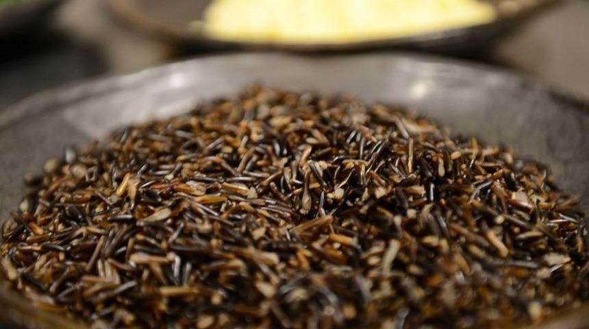 Yabani Pirin&ccedil; T&uuml;rk Şeflerin De G&ouml;zdesi Oldu