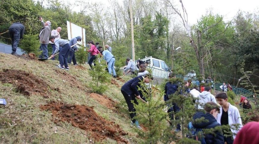 Ak&ccedil;akocalı &Ouml;ğrenciler Ceneviz Kalesi Plajında Fidan Dikti