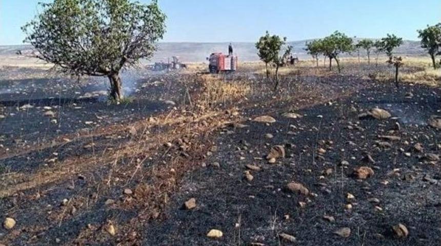 25 D&ouml;n&uuml;m Buğday Tarlası K&uuml;l Oldu