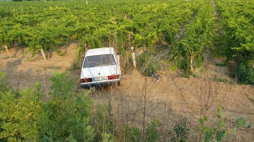 Manisa’da Bir Araç Üzüm Bağına Uçtu: 1 Yaralı