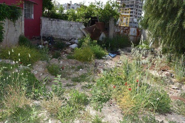 Gizemli Kazının Yapıldığı Alan &Ccedil;&ouml;k&uuml;yor 3