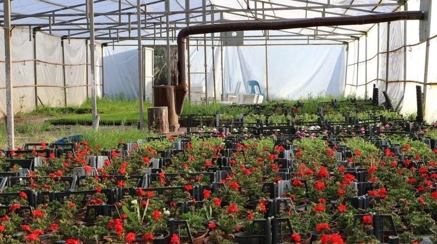 Kırıkkale Baharda Rengarenk Olacak