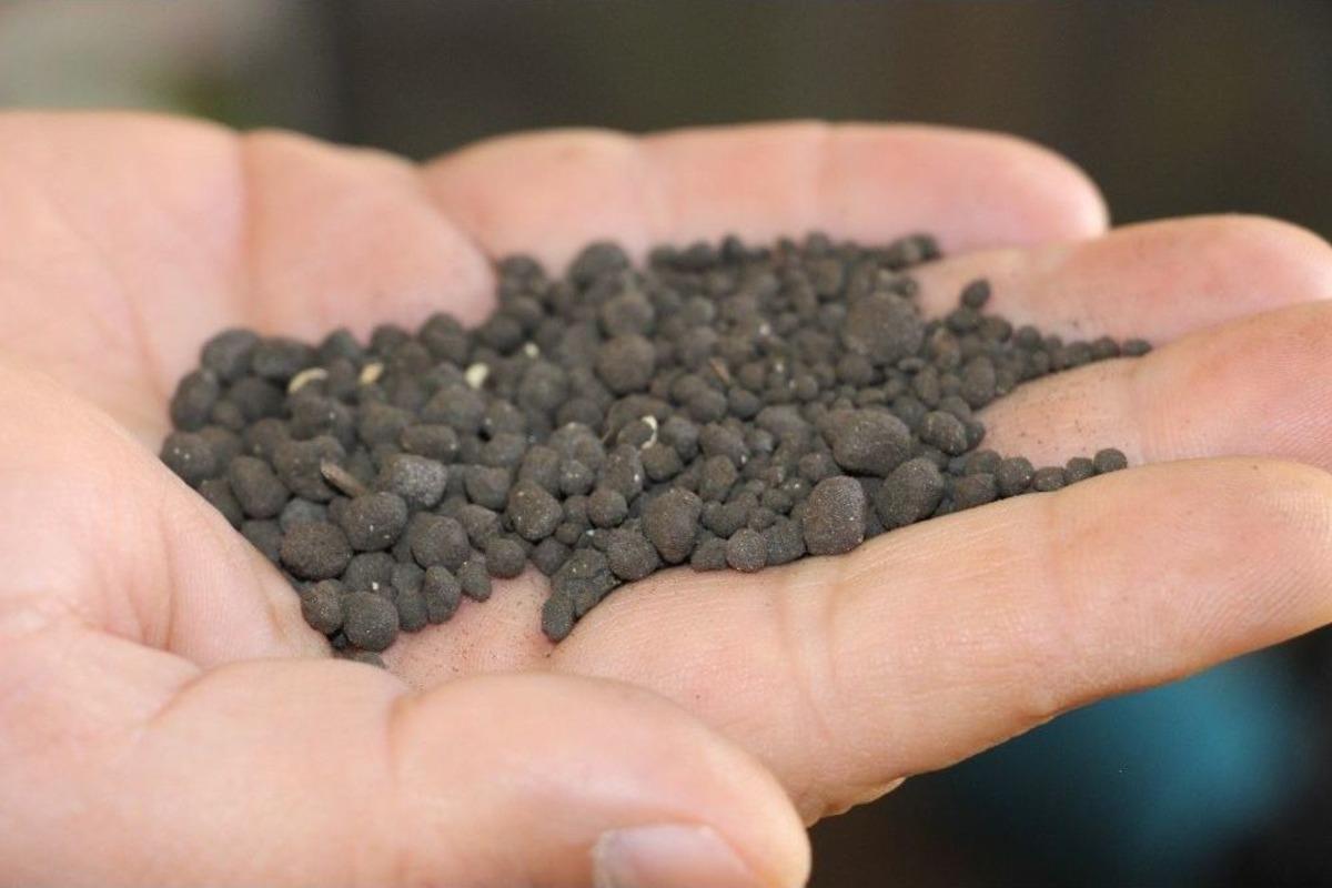 Y&uuml;zyılın Madeni &lsquo;leonardit&rsquo;in Kaynağı T&uuml;rkiye&rsquo;de