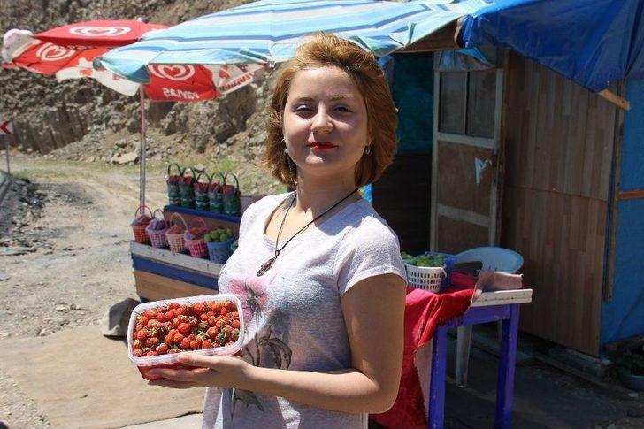 Üretim Düştü, Çilek Fiyatları Uçtu G1