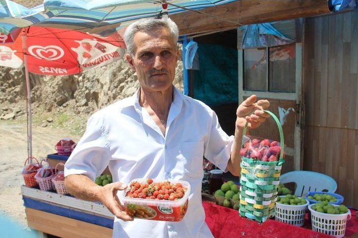 Üretim Düştü, Çilek Fiyatları Uçtu G2