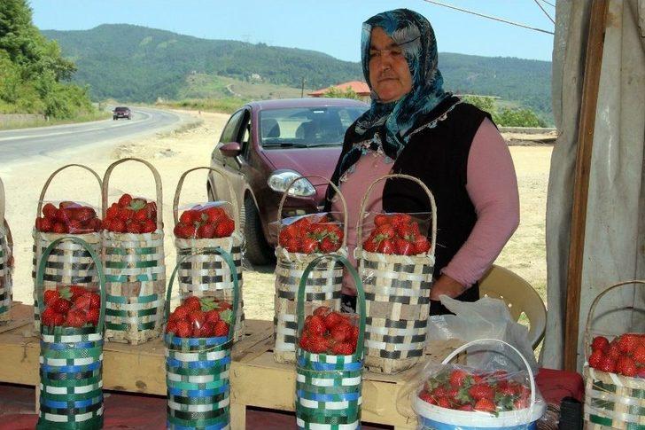 Üretim Düştü, Çilek Fiyatları Uçtu G3