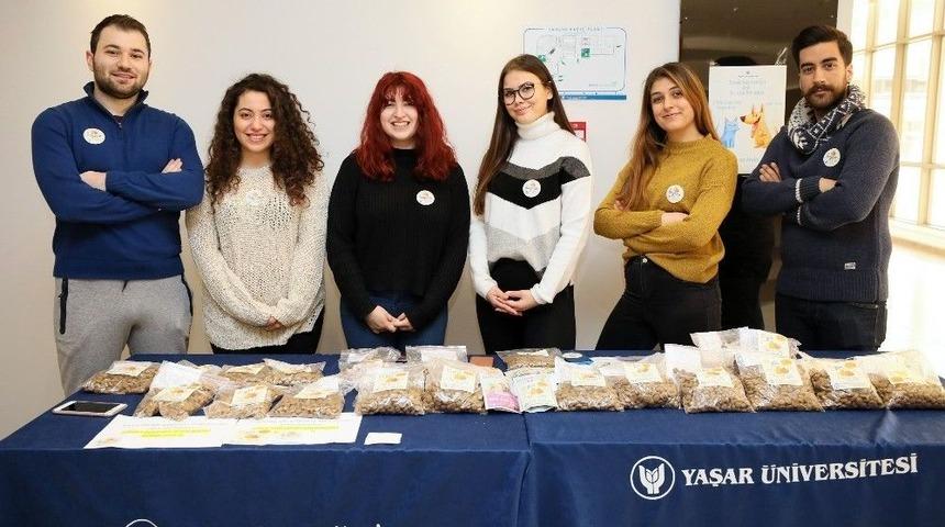 Sokaktaki Canlar İ&ccedil;in &ldquo;1 G&uuml;n, 1 &Ouml;ğ&uuml;n&rdquo;