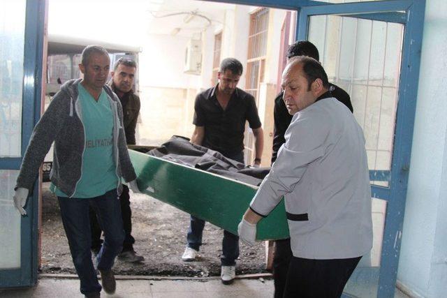 Ka&ccedil;ak G&ouml;&ccedil;men Donarak &Ouml;ld&uuml; 1