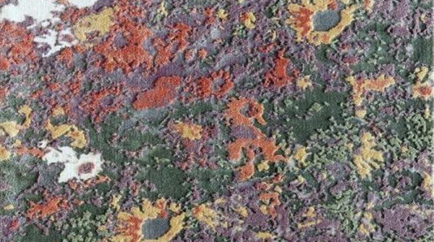 Royal Halı Ve Pierre Cardin&rsquo;in Yeni Koleksiyonları G&ouml;r&uuml;c&uuml;ye &Ccedil;ıkacak