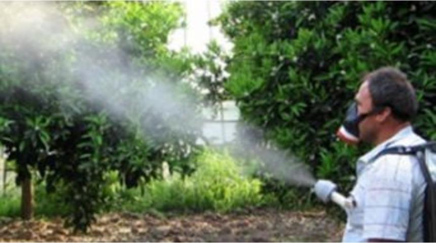 Müdür Görentaş’tan Elma Üreticilerine Uyarı