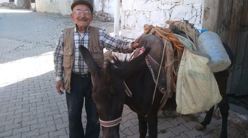 Kiraz Ağacından Düşen Yaşlı Adam Hayatını Kaybetti