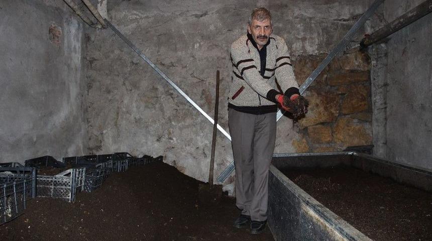 Evinde Y&uuml;z Binlerce Solucan Besliyor