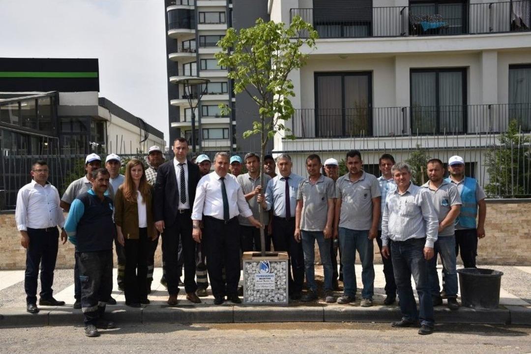 Bu Sokak Ihlamur Kokacak