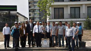 Bu Sokak Ihlamur Kokacak