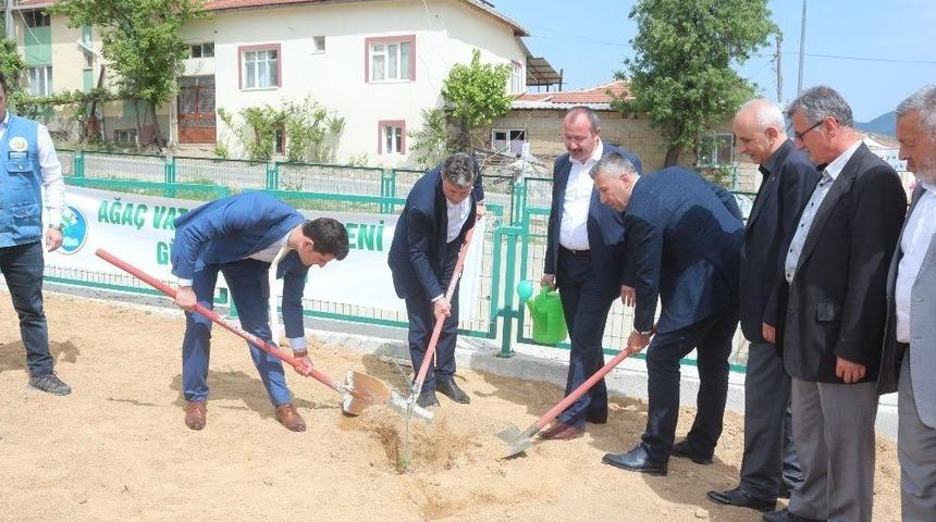 Sarıcakaya&rsquo;ya Bin Zeytin Fidanı Daha Dikildi
