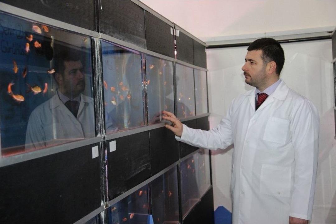 M&uuml;ziğin Balıklar &Uuml;zerindeki Etkisini Araştırıyorlar