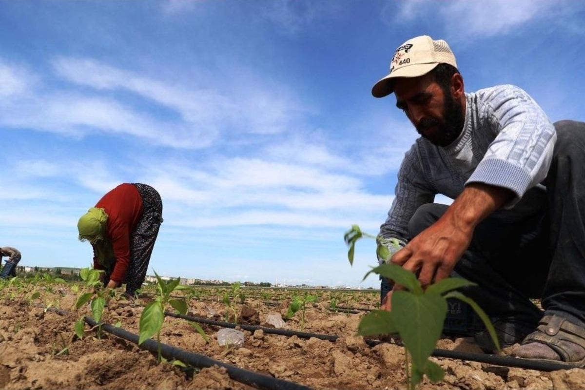Kayyumdan G&ouml;r&uuml;lmemiş Hizmet