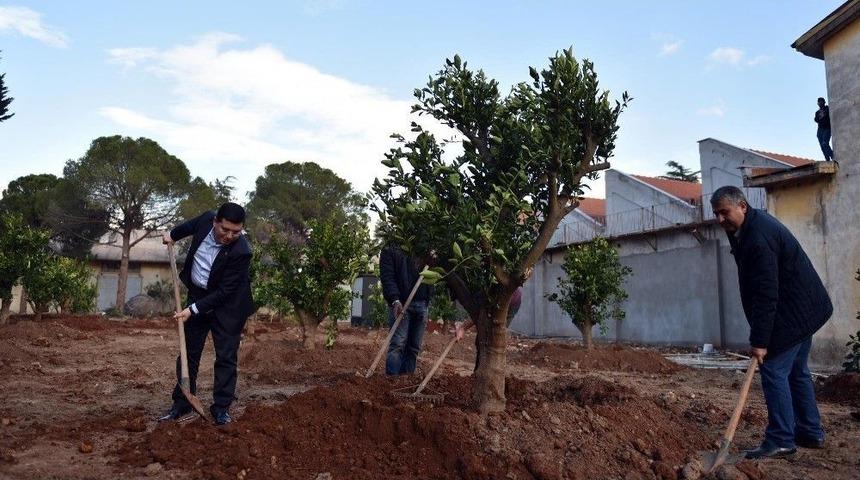 Dokuma Parkına Portakal Bah&ccedil;esi