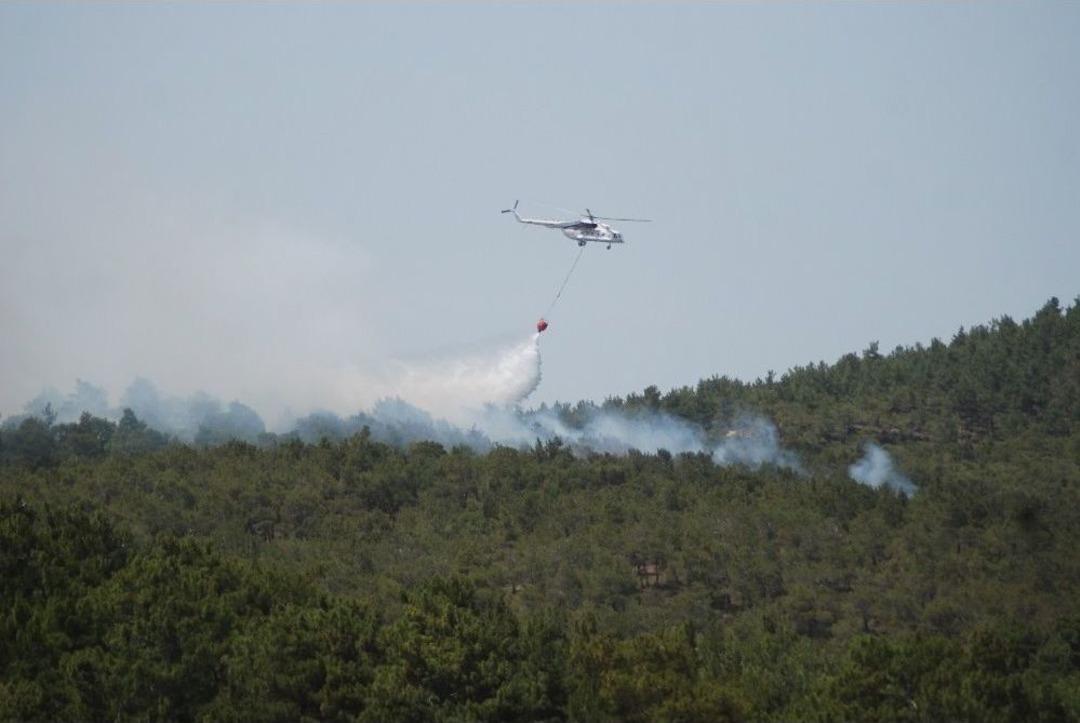 Bayrami&ccedil;&rsquo;te Orman Yangını