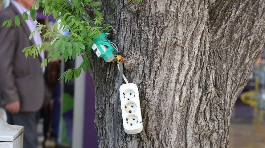 Ağaca &Ccedil;ekilen &Uuml;&ccedil;l&uuml; Priz Tehlike Sa&ccedil;ıyor