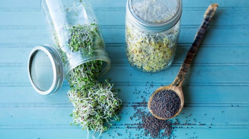 Bu Gıda Brokoliden % 1000 Daha Fazla Besin Değerine Sahip Ama Kimse Bilmiyor!