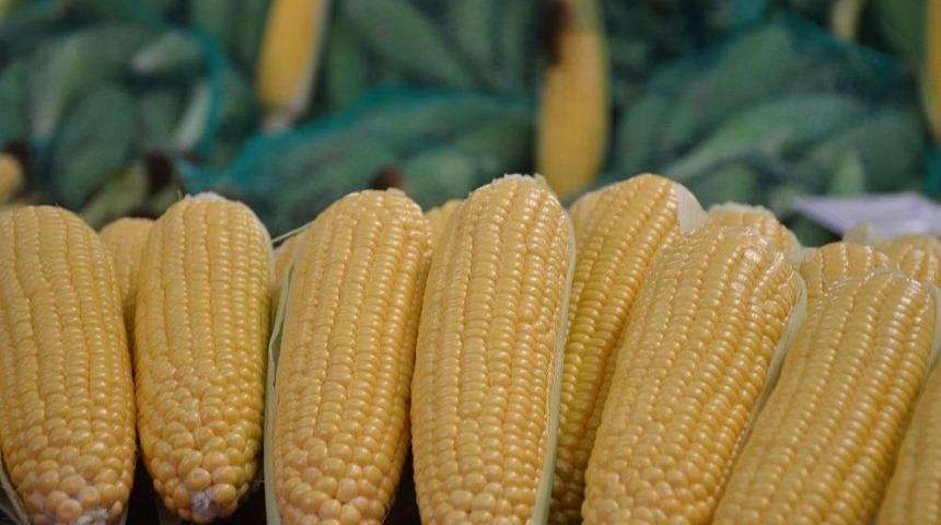 S&uuml;t Mısır Tanesi 1 Tl&rsquo;den Tezgahlarda