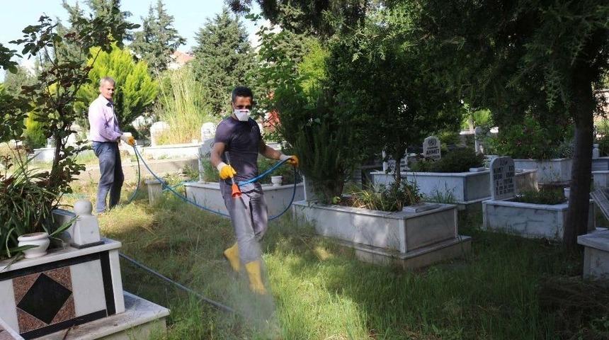 Alanya&rsquo;da Mezarlıklara Bahar Bakımı