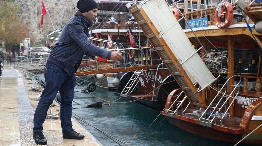 Yat Limanını Mesken Tutan Akdeniz Foku, Balık&ccedil;ıların Maskotu Oldu