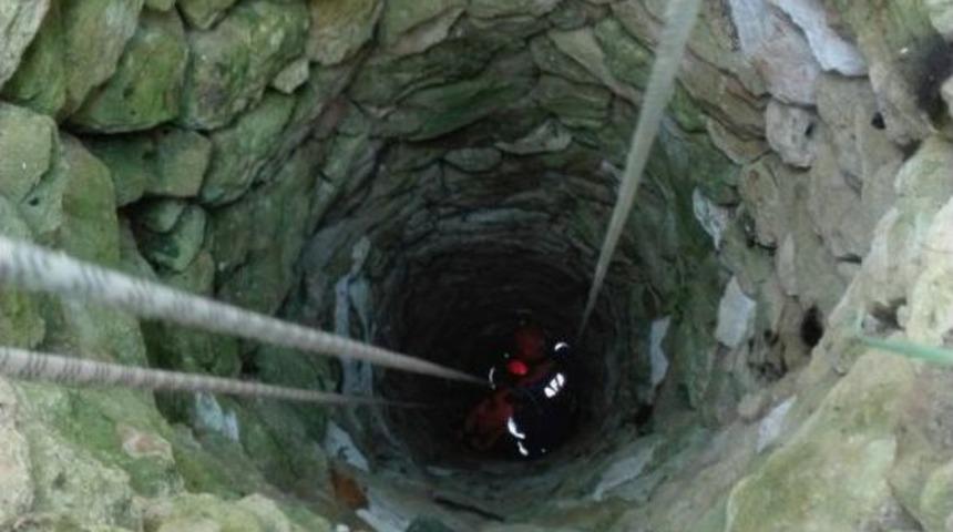 15 Metrelik Kuyuya Düşen İneği Afad Ekipleri Kurtardı