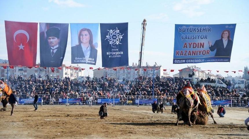 D&uuml;nya Deve G&uuml;reşi Şampiyonluğu Aydın&rsquo;da Yapıldı