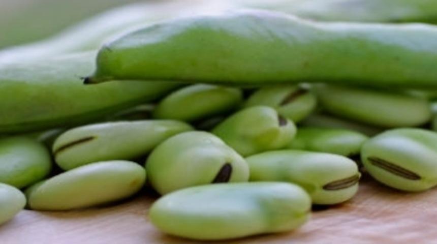 Ereksiyona İyi Gelen Yiyecekler