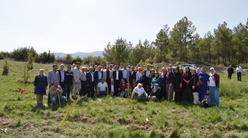 Ak Parti&rsquo;den 15 Temmuz Şehitleri Hatıra Ormanı