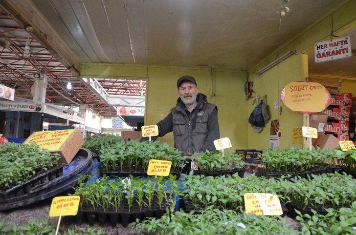 Yazın Habercisi Sebze Fideleri Tezgahları Süslüyor G4
