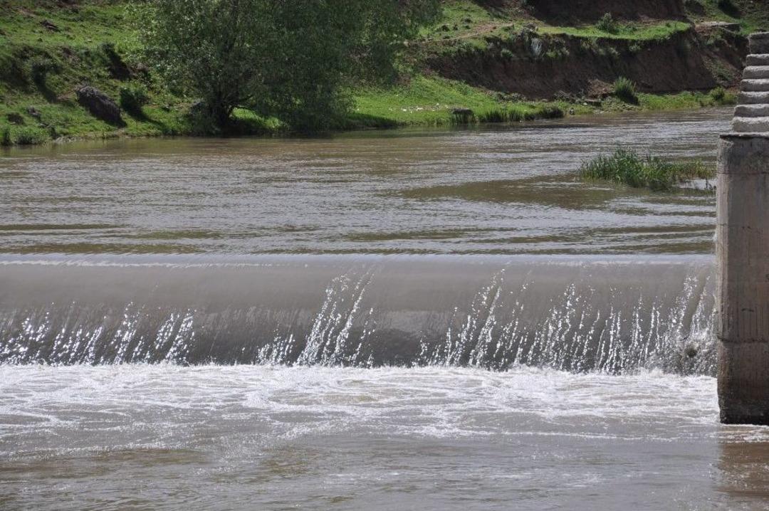 Kars&rsquo;ta Tatlı Su Kefallerinin &Ouml;l&uuml;m G&ouml;&ccedil;&uuml; Başladı