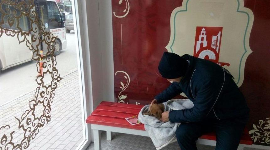 6k Akıllı Durakların Yeni Misafiri Minik K&ouml;pek Oldu