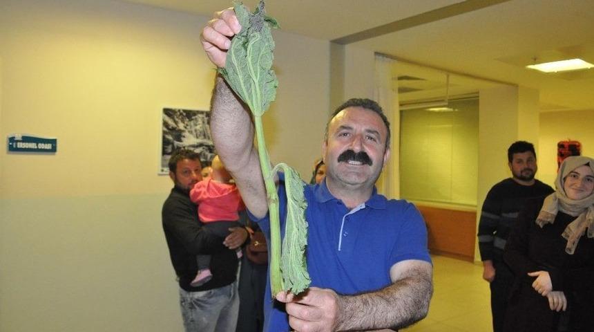 19 Kişi Yedikleri Ottan Zehirlendi