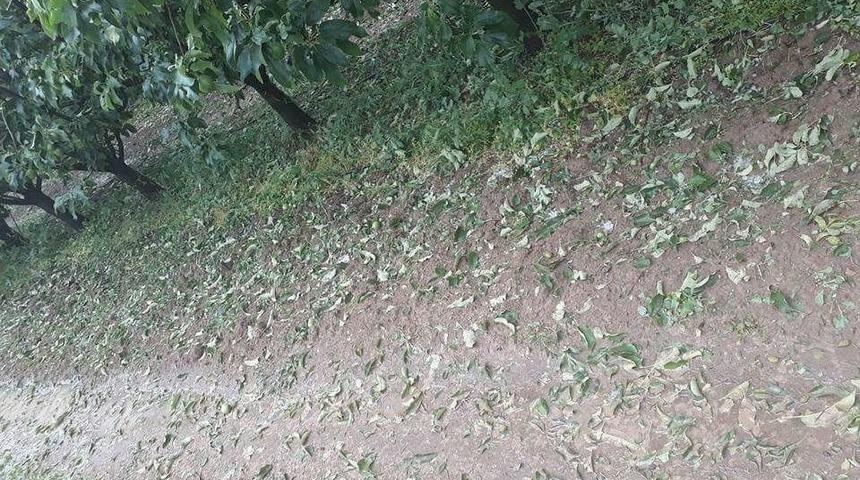 Isparta Gelendost’u ‘dolu’ Vurdu