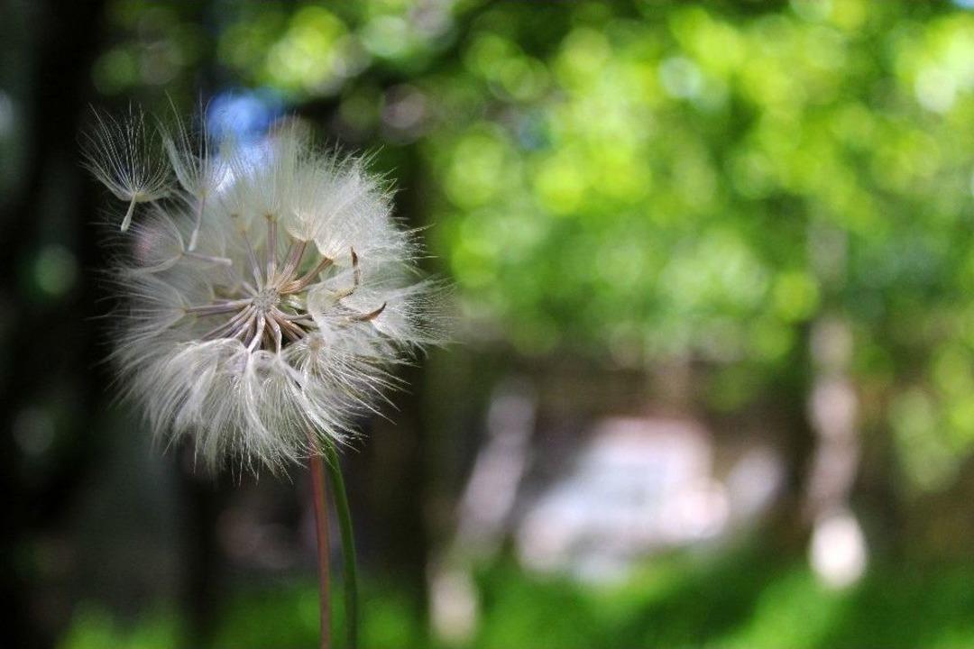 (&ouml;zel Haber) Uzmanlardan Polen Uyarısı