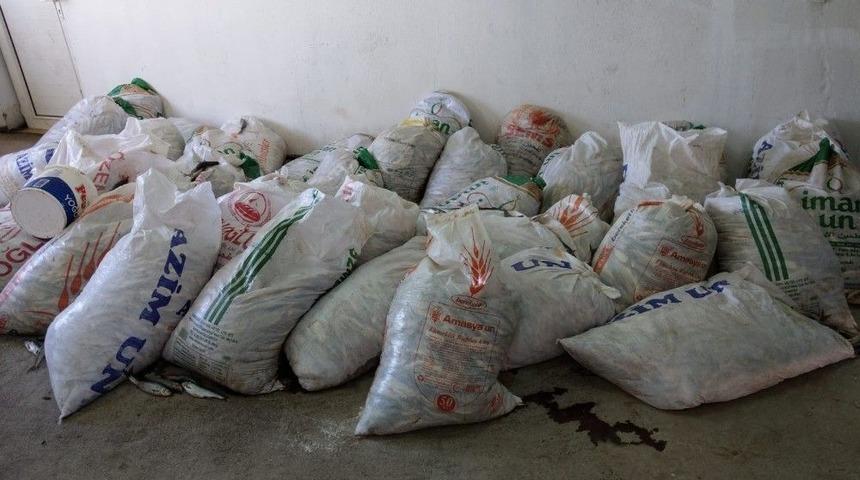 Van’da Kaçak Avlanmış İnci Kefali Balığı Ele Geçirildi