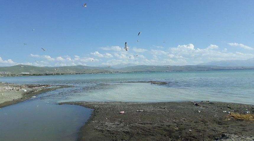 İnci Kefalinin Muhteşem Yolculuğu Sona Eriyor