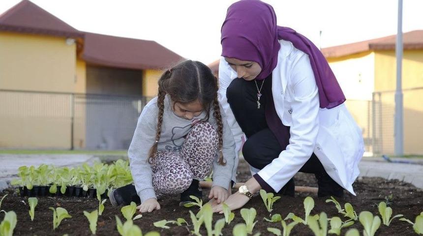 Ekolojik Kreş&rsquo;te Yaz Okulu Heyecanı