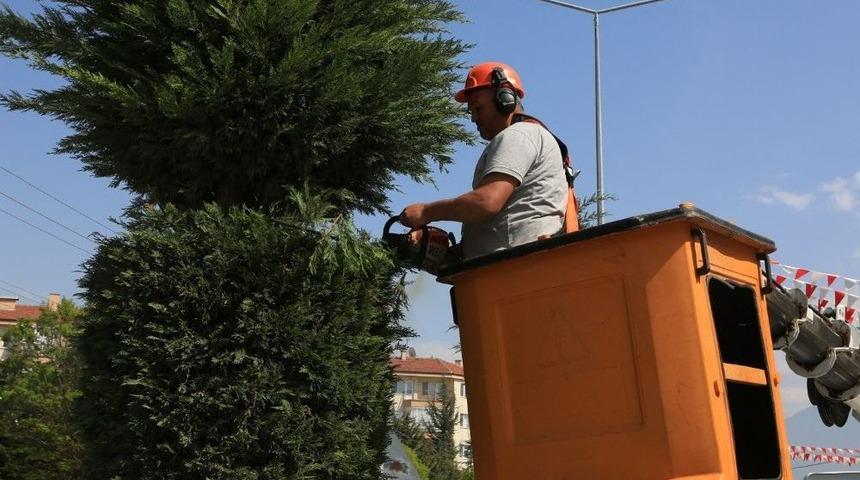 Bolu&rsquo;da, Bir Yılda 9 Bin 600 Ağa&ccedil; Dikildi