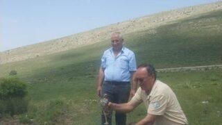 Tedavileri Tamamlanan Kuşlar Doğaya Bırakıldı