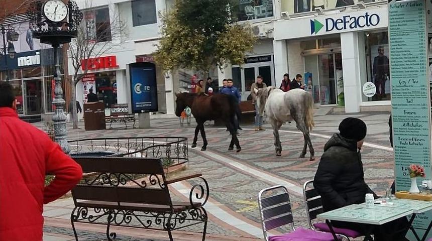 Şaşkına D&ouml;nenlerde Oldu, Cep Telefonuna Kaydedenler De