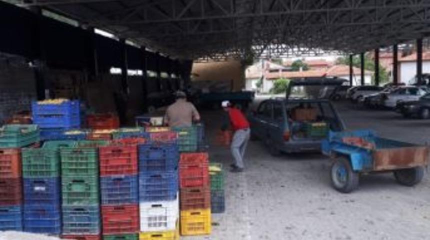 Şaphane&rsquo;de Kirazın Kilosu 1 Tl&rsquo;ye Kadar D&uuml;şt&uuml;